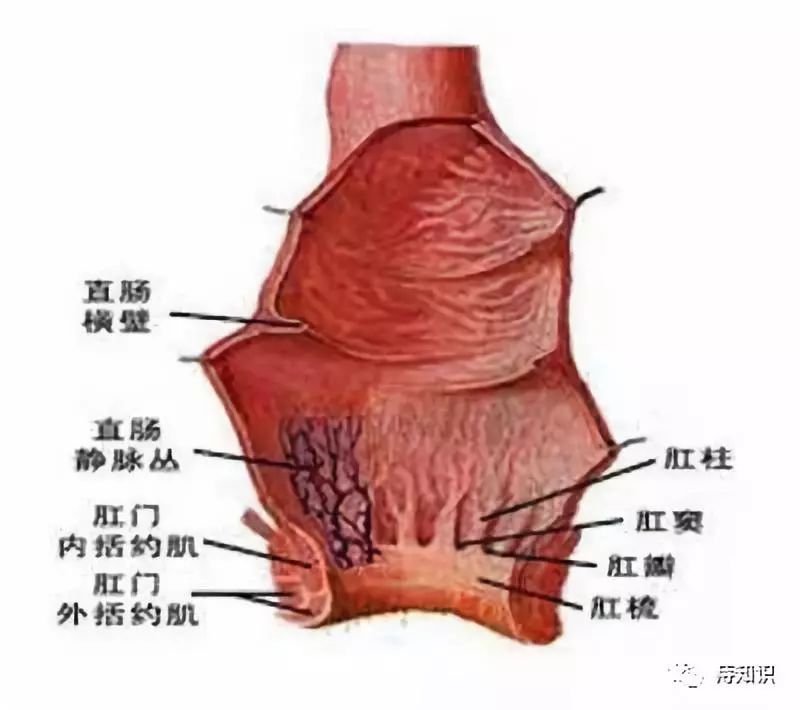 痔疮手术后愈合缓慢怎么办？