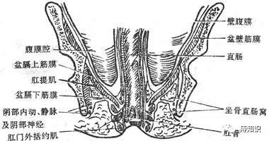 如何缓解痔疮术后痉挛性疼痛