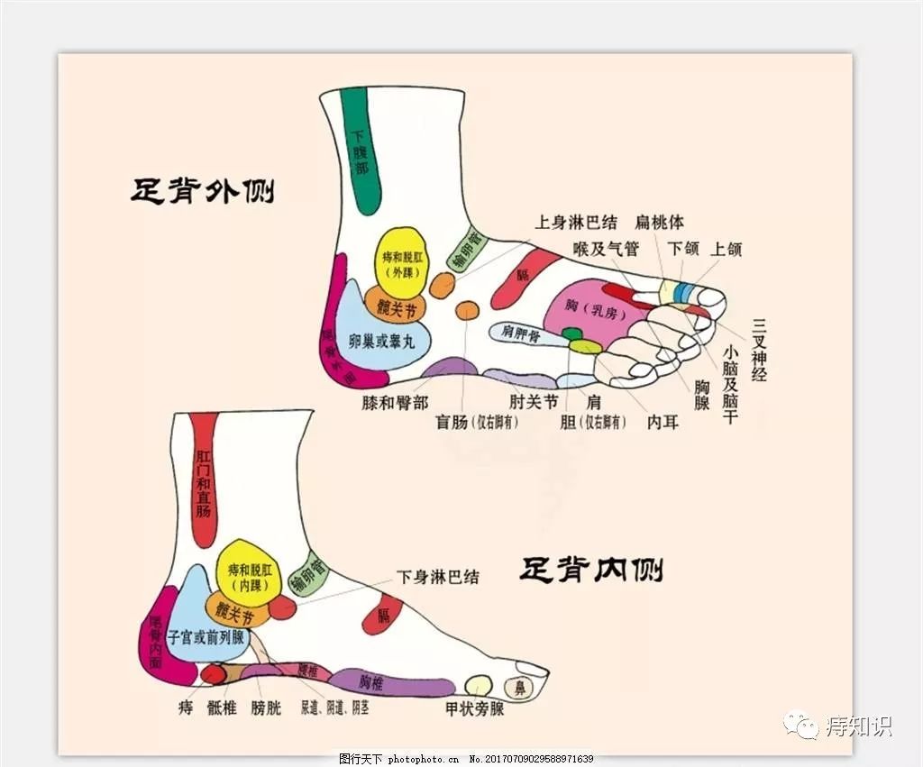 生物全息法缓解肛肠术后疼痛的研究