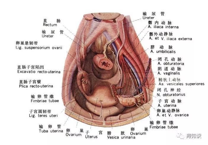 女性治疗痔疮需要注意什么